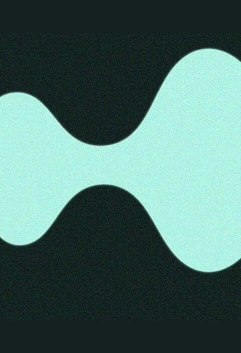 Hyperliquid HYPE Coin